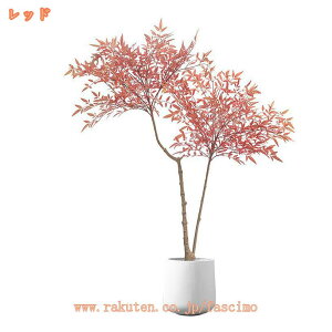 lH|  CeA ؒ tFCNO[ ^  a | lHϗtA t  p[e[V Ƌp̊Ԏd؂   z[ ItBX x_  O tFCNA 