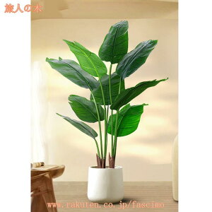 lHϗtA ^ tFCNO[ A A ͂Ȃ tFCNA  _ c[ ~    |[` rO[ bȂ   ItBX Vzj j 