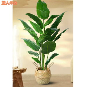 1000~OFFN[| lHϗtA ^ tFCNO[ {̐lHA lH CeAO[ ϗt A bȂ ͂Ȃ   ItBX j  Iȑ