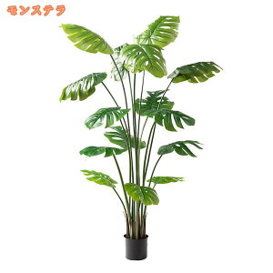 tFCNA 傫 sv 傫 ze [ tFCNO[ ^ ͂Ȃ QȂ  O  rO lHϗtA lHϗt {  p 