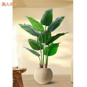 lHϗtA A ^ ͂ȂO[ { CeAO[ tFCNO[ lHA ϗt ϗtA  뉀 iX K[f Q rO ItBX 