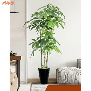 2000~OFFN[| lHϗtA ^ tFCNO[ A A ͂Ȃ tFCNA  _ c[ ~    |[` rO[ bȂ   ItBX 