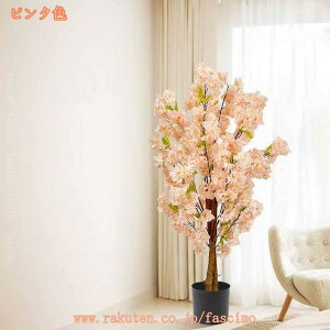  lH sN A 肢̖   ItBX p[eB[ EFfBO zep lHϗtA tFCNO[ ϗt  ͂Ȃ sv ȒPb炸  Ce