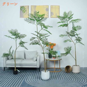 tFCNO[ WJ_̖ A lHϗtA AȎ sv ͂Ȃ p CeAO[  I  rO ItBX  i̖ ϗt   