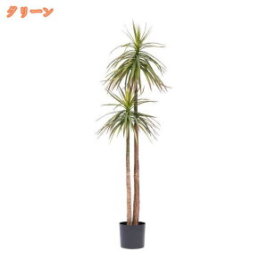 2000~OFFN[| tFCNO[ hZi A lHϗtA AȎ sv ͂Ȃ p CeAO[  I  rO ItBX  i̖ ϗt 