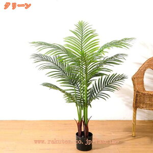 AJV p[ lH A 肢̖   ItBX p[eB[ EFfBO zep lHϗtA tFCNO[ ϗt  ͂Ȃ sv ȒPb炸  