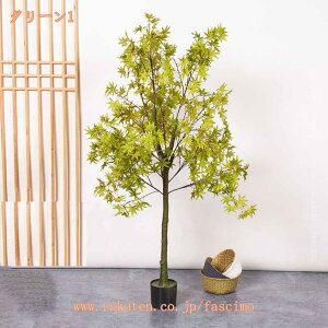 tFCNO[   A lHϗtA AȎ sv ͂Ȃ p CeAO[  I  rO ItBX  i̖ ϗt    zep 