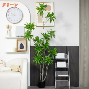 hZi Ύ  tFCNA { lHA tFCNO[ ^ A lHϗtA lHϗt   K̖  rO ItBX  j  J^ s