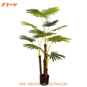 tFCNO[ zj Mт̃V̖ A ^ lHϗtA  bNX  ϗt CeA ItBX v[g K̖ 傫 A   u _