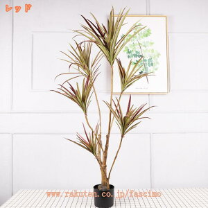 hZi tFCNO[ ϗtA ^ p  A ϗt sv Q쏜sv R  ze r[  rO lHϗt CeAO[ ͋C DIY 