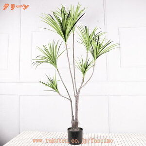 2000~OFFN[| tFCNO[ zj hZi A ^ lHϗtA  bNX  ϗt CeA ItBX v[g K̖ 傫 A   