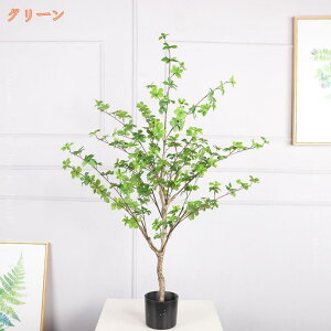 2000~OFFN[| hE_ccW tFCNO[ ϗtA ^ p  A ϗt sv Q쏜sv R  ze r[  rO lHϗt CeAO