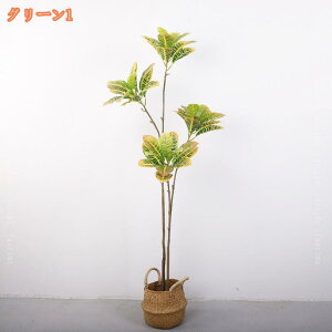 Ex[^ lHA tFCNO[ lH̍K̖ CeA OΉ sv ͂Ȃ pϗtA A   ItBX X  ϗt 蕨 j