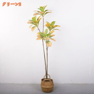 2000~OFFN[| tFCNO[ Ex[^ a lHϗtA A CeA gC rO ItBX  CeAO[ sv ͂Ȃ pϗtA 