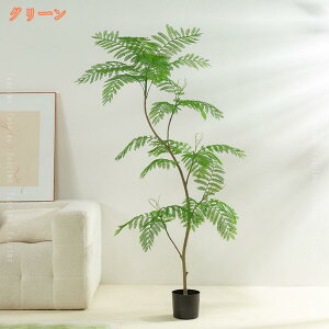 WJ_̖ tFCNO[ lH ϗtA ^ lH~ rO ItBX  zj JXj ړ]j Vzj JXj Vzj v[g Ύ A u _ C