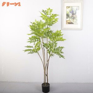 tFCNO[ zj `` A ^ lHϗtA  bNX  ϗt CeA ItBX v[g K̖ 傫 A   u _ J