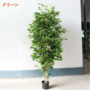 tFCNO[ KW} a lHϗtA A CeA gC rO ItBX  CeAO[ sv ͂Ȃ pϗtA ϋv R ډB