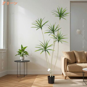 1000~OFFN[| hZi ϗtA lH  ^ tFCNA CeA a zj JXj ړ]j Vzj j a  ItBX Mtg v[g  Ύ 