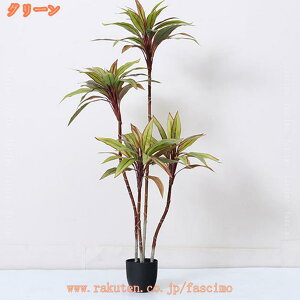 1000~OFFN[| hZi ϗtA lH  ^ tFCNA CeA a zj JXj ړ]j Vzj j a  ItBX Mtg v[g  Ύ 