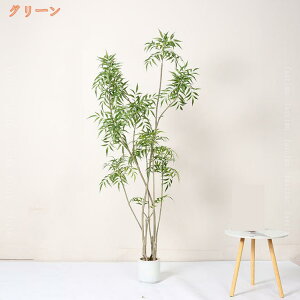 AV ou[ ϗtA lH  ^ tFCNA CeA a zj JXj ړ]j Vzj j a  ItBX Mtg v[g  Ύ 傳 