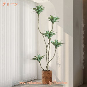 2000~OFFN[| XC @ hV̓ Mtg ϗtA  A Ȃ̎} _ A LO Vzj JXj v[g Mtg 蕨 CeA A  