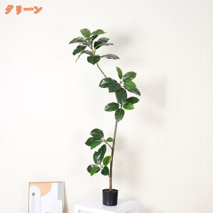 1000~OFFN[| S̖ Ύ j 킢 IV  tFCNO[ Mtg JXj ϗtA v[g  Ε lHϗtA Ə X  J^ AWA ^ 