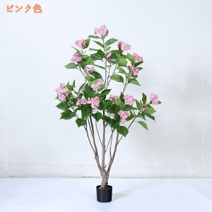 z hV̓ Mtg ϗtA  A Ȃ̎} _ A LO Vzj JXj v[g Mtg 蕨 CeA A  sv ͂Ȃ 