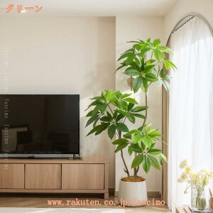  l炵 ₵ tFCNO[ pL xW~ tFCNϗtA    J^ rO  t t bȂ sv z[  Lb` ItBX Ƃ