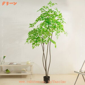 tFCNO[ zj ou[ ie | A ^ lHϗtA  bNX  ϗt CeA ItBX v[g K̖ 傫 A   u 