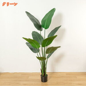 Xg`A V̒ Ɋy tFCNO[ lH ϗtA ^ lH~ rO ItBX  zj JXj ړ]j Vzj JXj Vzj v[g Ύ A 