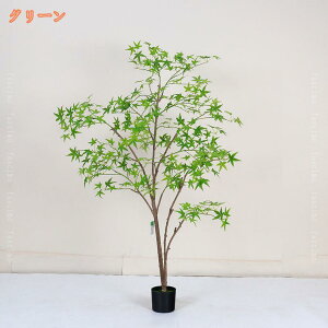 lHϗtA CeA Ƃ̒ɒu tFCNO[ AȎ ϗtA N₩ȐF  JGf gt c[ O[ sv ^  ~ A ItBX 