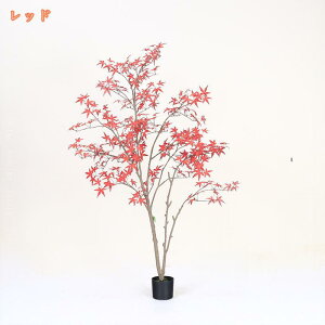 lHϗtA CeA Ƃ̒ɒu tFCNO[ AȎ ϗtA N₩ȐF  JGf gt c[ O[ sv ^  ~ A ItBX 