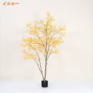 1000~OFFN[| tFCNO[ JGf gt A lHϗtA O[ tFCNϗtA ^  CeA  ItBX  bȂ ͂Ȃ sv lHA