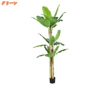 m oVE lHA tFCNO[ lH̍K̖ CeA OΉ sv ͂Ȃ pϗtA A   ItBX X  ϗt 蕨 j