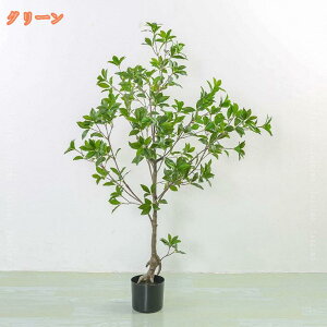 lHϗtA CeA Ƃ̒ɒu tFCNO[ AȎ ϗtA N₩ȐF  n AZr c[ O[ sv ^  ~ A ItBX 