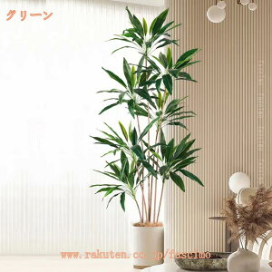 tFCNO[ hZi A lHϗtA O[ tFCNϗtA ^  CeA  ItBX  bȂ ͂Ȃ sv lHA lH ϗt 