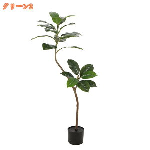 S̖ lHA tFCNO[ lH̍K̖ CeA OΉ sv ͂Ȃ pϗtA A   ItBX X  ϗt 蕨 j 