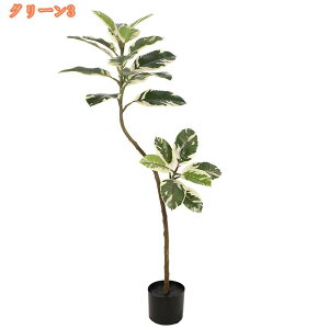 lHϗtA CeA Ƃ̒ɒu tFCNO[ AȎ ϗtA N₩ȐF  S̖ c[ O[ sv ^  ~ A ItBX  