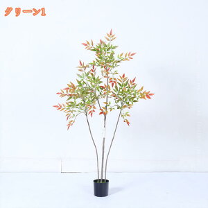 tFCNO[ lHϗtA ou[ | K̖ tFCNA IV Ύ sv Q쏜sv hL R  A  ItBX ƒ oRj[ 蕨 Mtg VN N