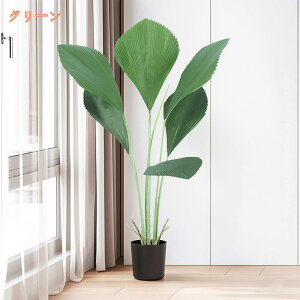 tFCNO[ lHϗtA p[ V K̖ tFCNA IV Ύ sv Q쏜sv hL R  A  ItBX ƒ oRj[ 蕨 Mtg VN N