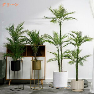 tFCNO[ lHϗtA AJV p[ K̖ tFCNA IV Ύ sv Q쏜sv hL R  A  ItBX ƒ oRj[ 蕨 Mtg 