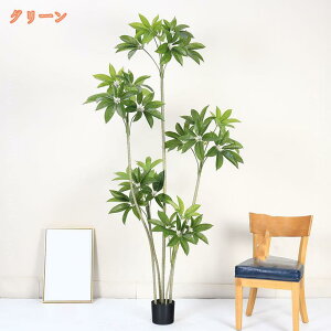 tFCNO[ lHϗtA pL K̖ tFCNA IV Ύ sv Q쏜sv hL R  A  ItBX ƒ oRj[ 蕨 Mtg VN NX