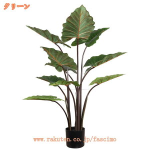 ϗtA ^ NYC lH tFCNA b炸  J^  蕨 a j Vzj JXj ړ]  X ItBX Ε k   lHϗtA t