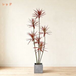 tFCNO[ lHϗtA hZi K̖ tFCNA IV Ύ sv Q쏜sv hL R  A  ItBX ƒ oRj[ 蕨 Mtg VN N