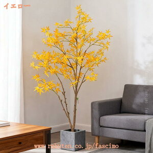  JGf gt K̖ tFCNO[ lH ^ ϗtA Ϗܗp lH~ lHϗtA ϗt  ItBX   A A K^̖ ̂Ȃ hL R CeAO