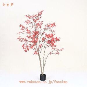  JGf gt K̖ tFCNO[ lH ^ ϗtA Ϗܗp lH~ lHϗtA ϗt  ItBX   A A K^̖ ̂Ȃ hL R CeAO