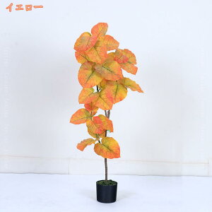 tFCNEx[^ lHϗtA tFCNO[ ̂Ȃ K^̖ lHA   rO ItBX p CeA ϗt   { sv Q