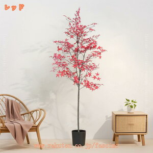 1000~OFFN[|  ݂̖ K̖ tFCNO[ lH ^ ϗtA Ϗܗp lH~ lHϗtA ϗt  ItBX   A A K^̖ ̂Ȃ hL R