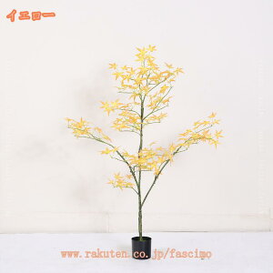  ݂̖ K̖ tFCNO[ lH ^ ϗtA Ϗܗp lH~ lHϗtA ϗt  ItBX   A A K^̖ ̂Ȃ hL R CeAO