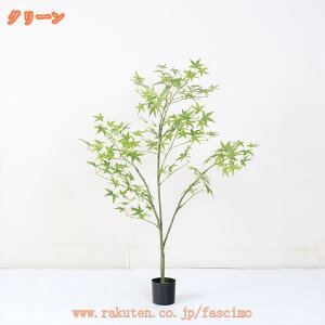  ݂̖ K̖ tFCNO[ lH ^ ϗtA Ϗܗp lH~ lHϗtA ϗt  ItBX   A A K^̖ ̂Ȃ hL R CeAO